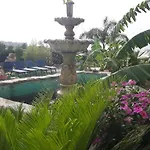 Belvedere Michelle