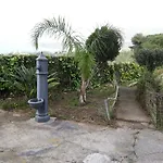 Belvedere Michelle