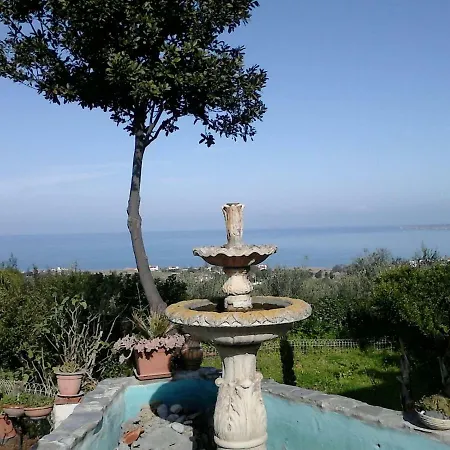 Belvedere Michelle