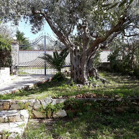 Belvedere Michelle Villa *